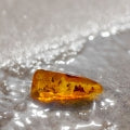 Ambre