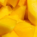 Mangue